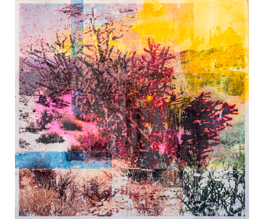 artwork mixed media collage joshua tree national park desert plants cactus california image